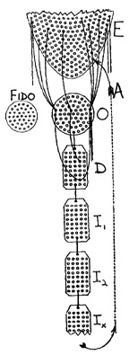 Structural Differental